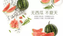 娱乐吃瓜酱文化,揭秘明星幕后故事与粉丝狂欢盛宴