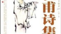 杜甫的诗集,诗史巨匠的忧国忧民情怀与人生感悟