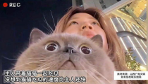 娱乐猫吃瓜,揭秘娱乐圈那些不为人知的幕后故事