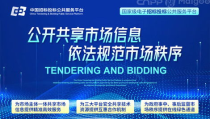 中国招投标公共服务平台,中国招投标公共服务平台助力高效项目招标与投标流程