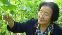 娱乐吃瓜君高压水枪,高压水枪背后的娱乐风云