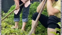 娱乐八卦是吃瓜群众的,吃瓜群众如何成为娱乐八卦的幕后推手