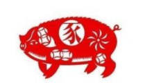 属猪的人2014年运程,机遇与挑战并存，把握关键时机