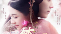 梦回大清广播剧,穿越时空的宫廷爱恋之旅
